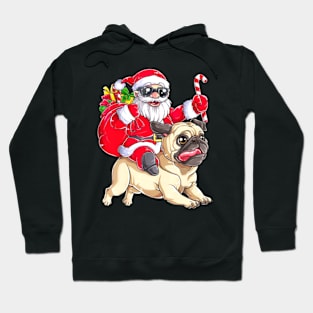 Santa and dog christmas Hoodie